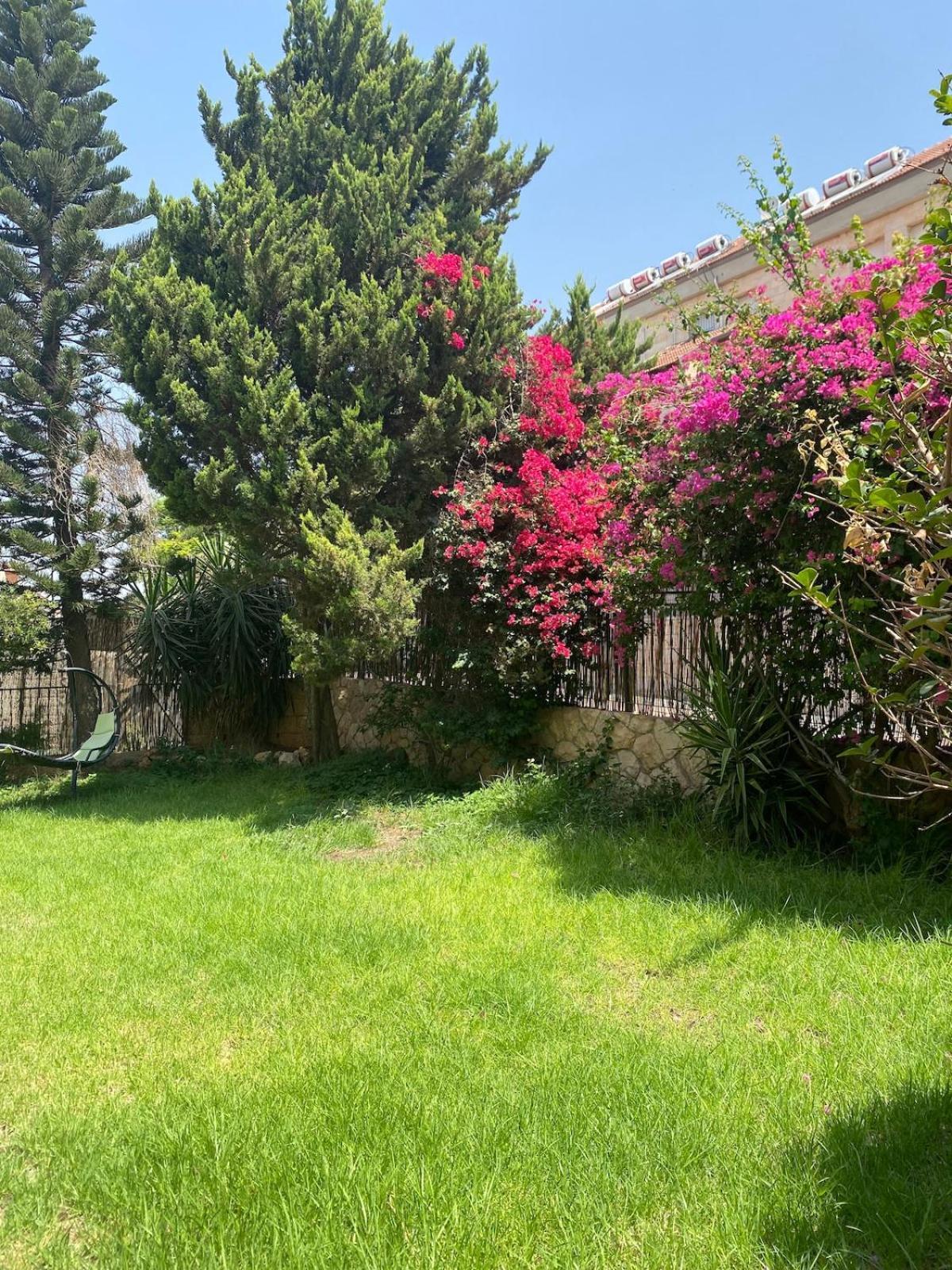 דירת גן מרווחת במיקום מעולה עם נטפליקס חינמי Lägenhet Ma'ale Adumim Exteriör bild